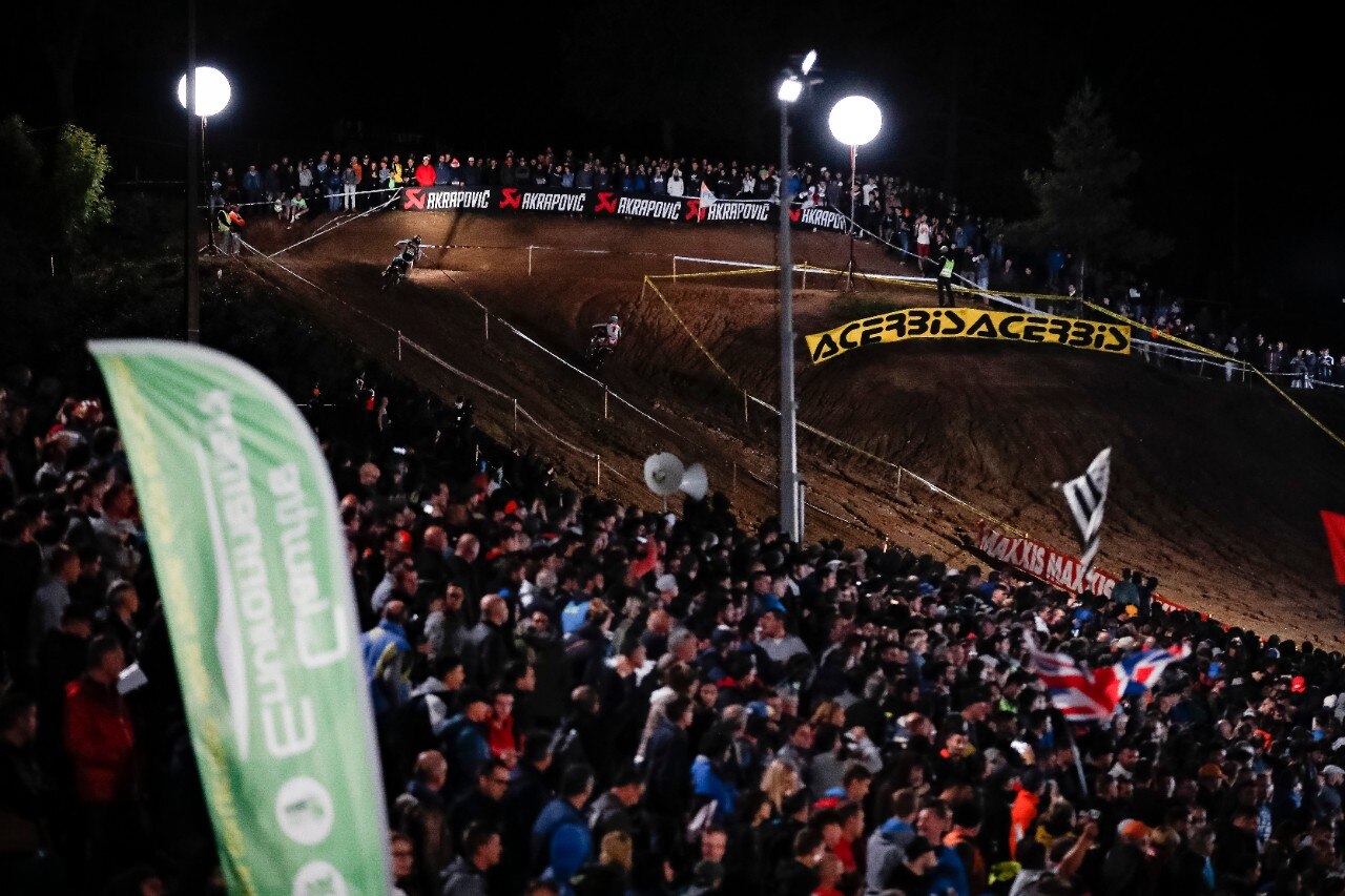 Steve Holcombe: ME LI BEVO TUTTI!